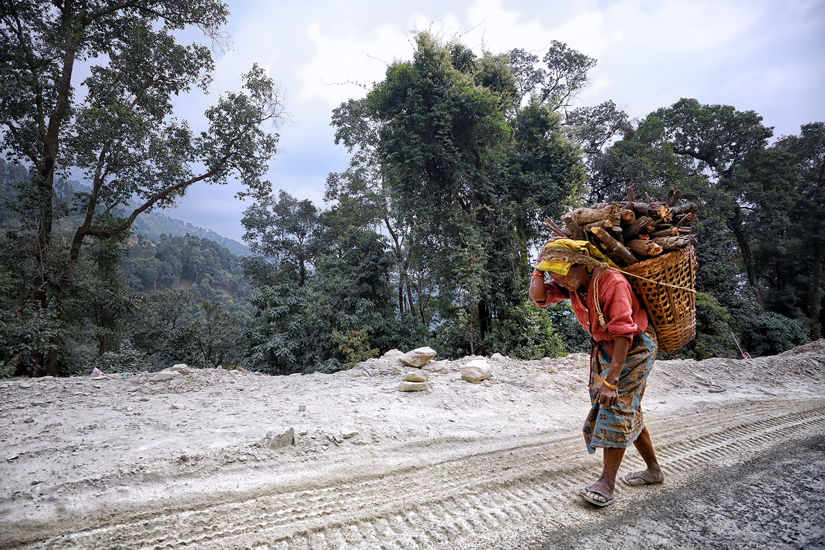 239 | Darjeeling 2021